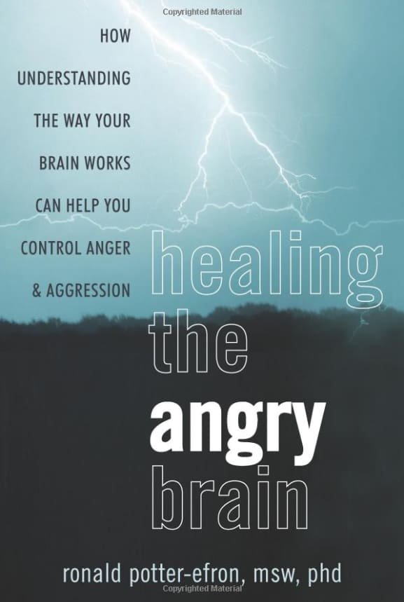 Healing the Angry Brain Book