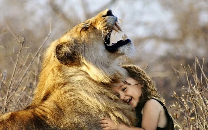 kid playing with tiger