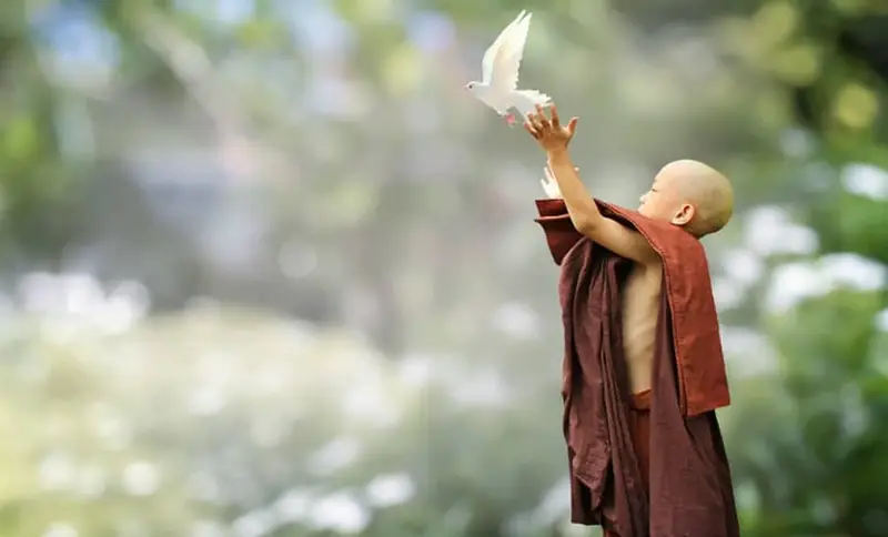 buddhist monk releasing white dove