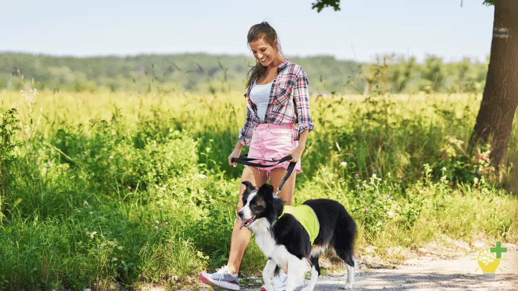 Find Your Inspiration On The Trail - 3 Benefits Of Going For An Outdoor Walk