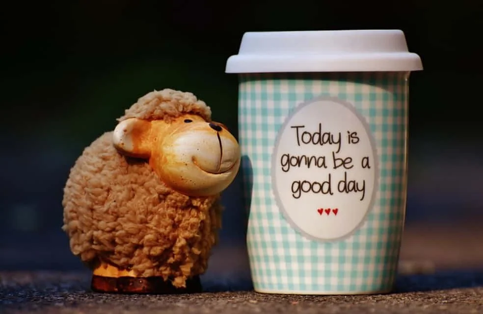 Small toy sheep beside disposable coffee cup